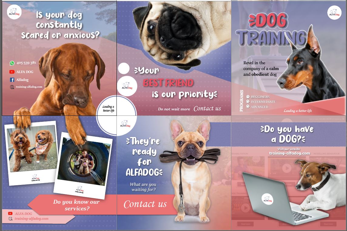 Alfadog website preview